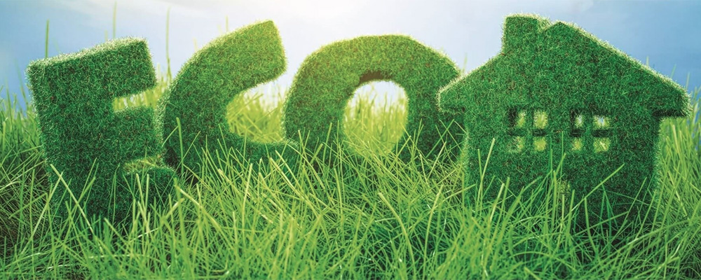 ecriture de eco en forme d'arbuste dans de l'herbe - nettoyage écologique