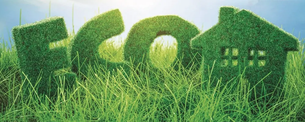 ecriture de eco en forme d'arbuste dans de l'herbe - nettoyage écologique