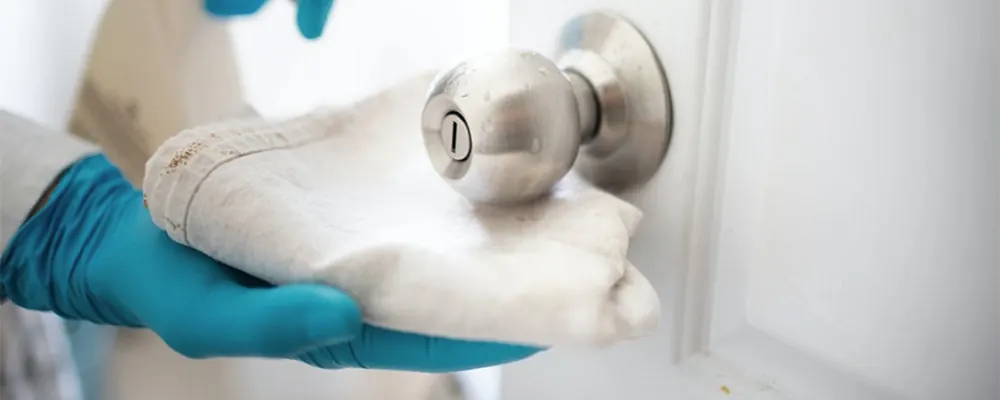 Nettoyage spécifique d’une porte : organisation du nettoyage en entreprise