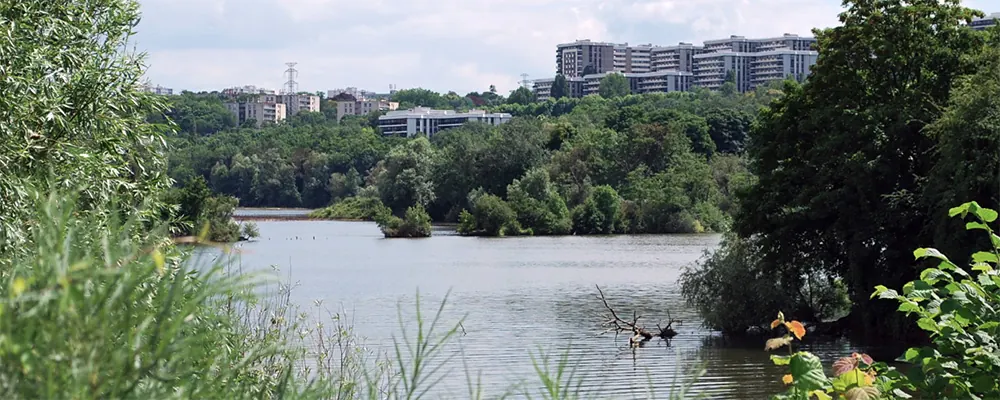 Vue du Lac de Grigny donnant sur Grigny 2 91350. Entreprise nettoyage bureaux locaux 91