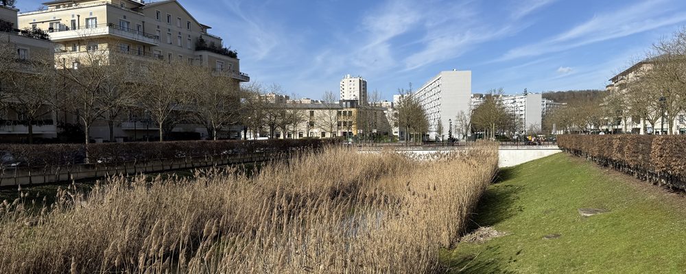 Parc du Cours Jacques Chaban-Delmas à Chelles : entreprise de nettoyage de bureaux et de locaux à Chelles (77500)
