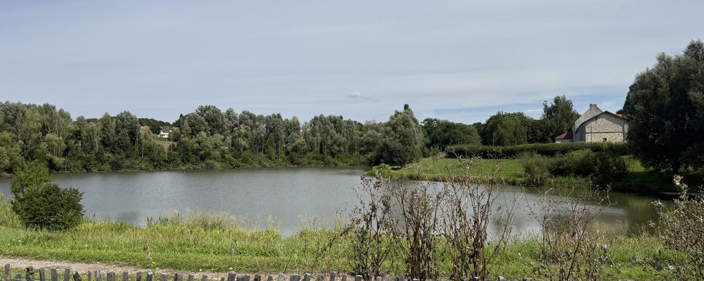L'étang de Montévrain : nettoyage de locaux professionnels à Montévrain