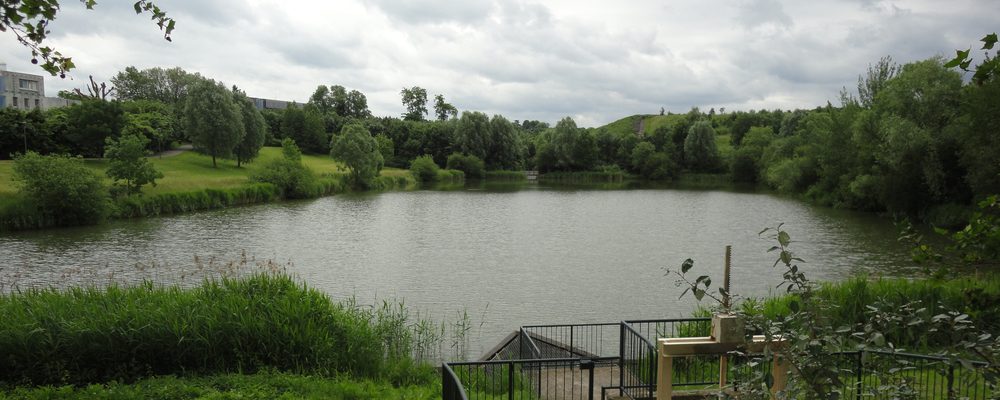 Le lac de Torcy : nettoyage de locaux professionnels à Torcy