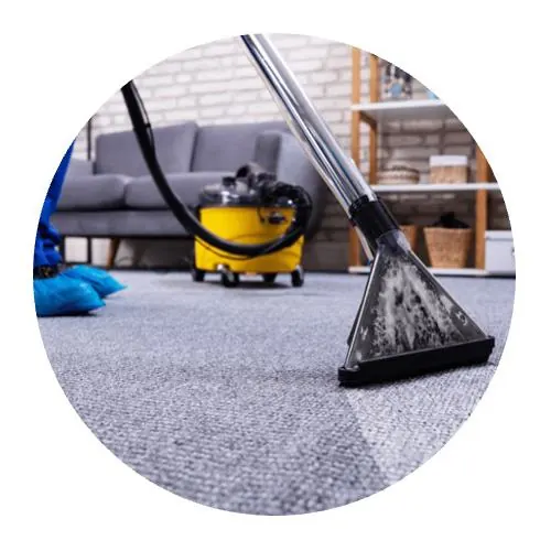 Entreprise de Nettoyage de Moquette par shampooing avec un injecteur extracteur sur moquette grise