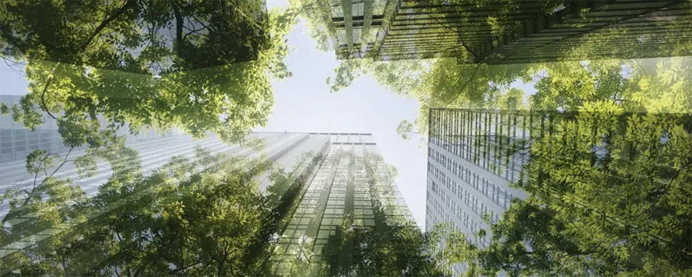 ecologie immeubles melangés avec des arbres